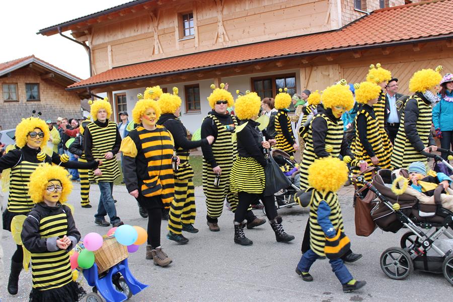 Umzug Hopferau2016 10