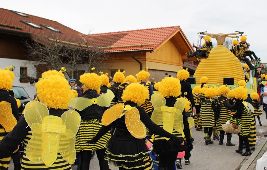 Umzug Hopferau2016 12