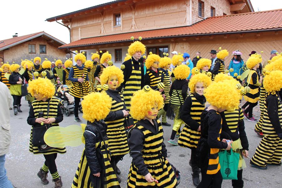 Umzug Hopferau2016 9